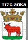 Trzcianka